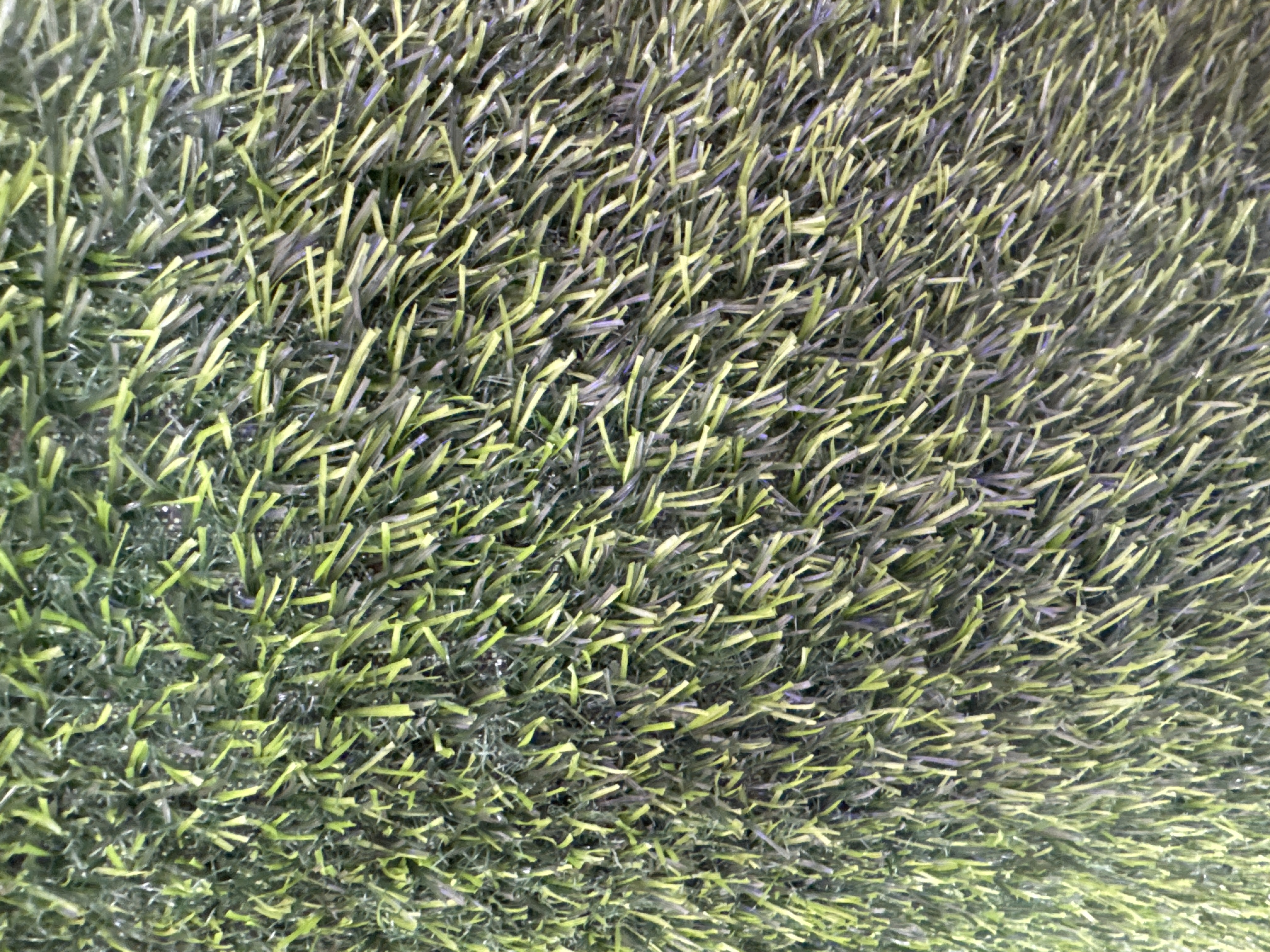 Grass Carpet