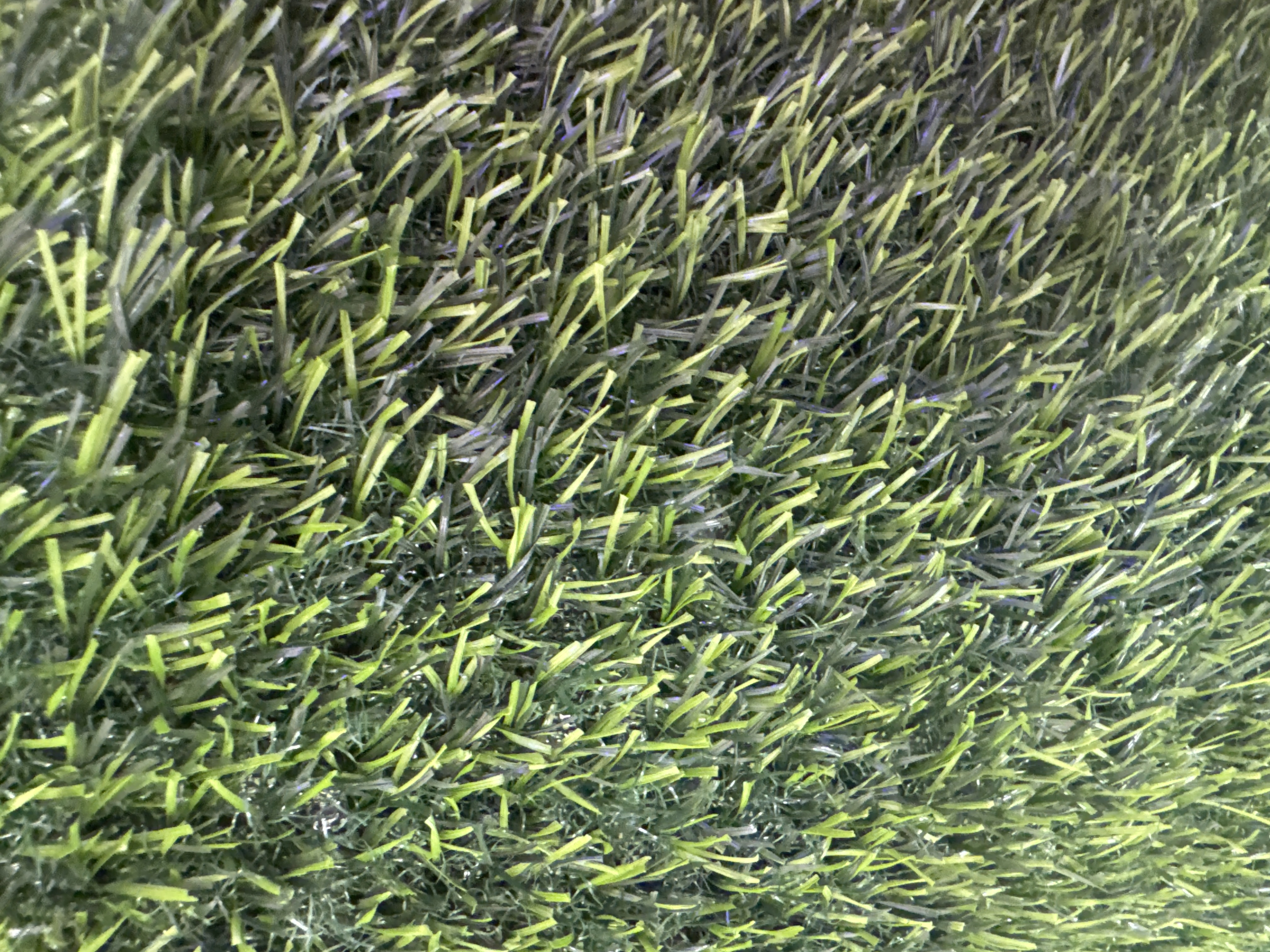 A Yard of Grass Carpet
